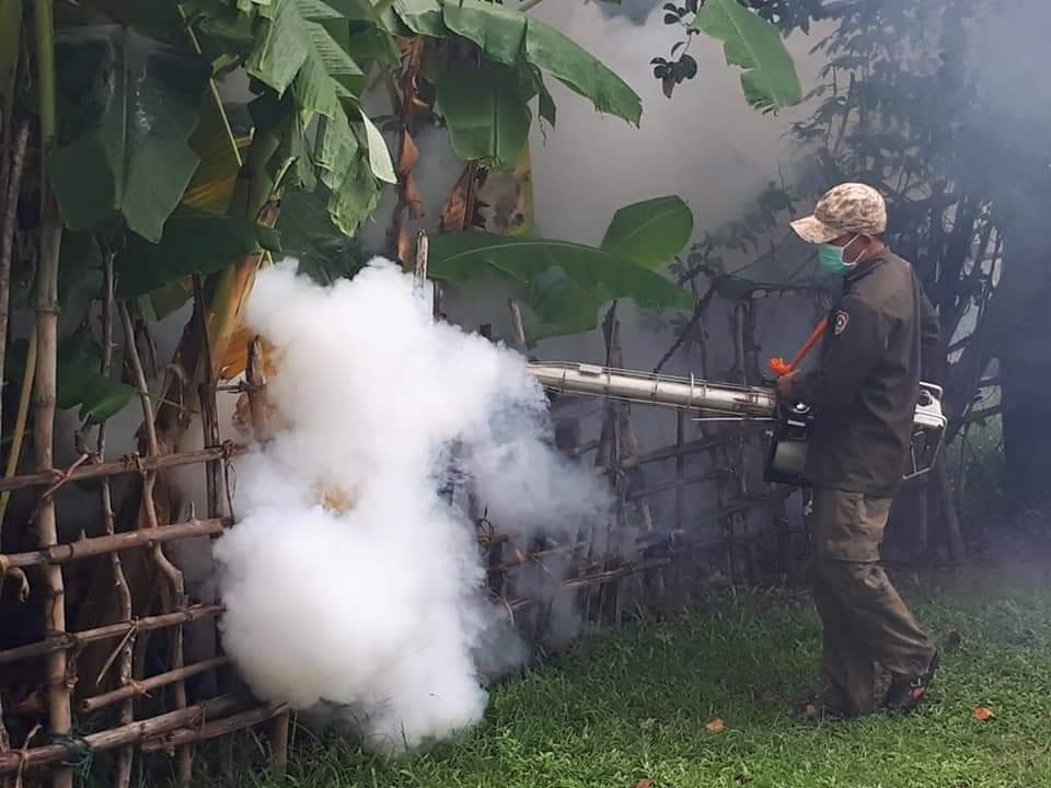 ປີ 2019 ມີຜູ້ເສຍຊີວິດ 76 ຄົນ ຍ້ອນພະຍາດໄຂ້ຍຸງລາຍ
