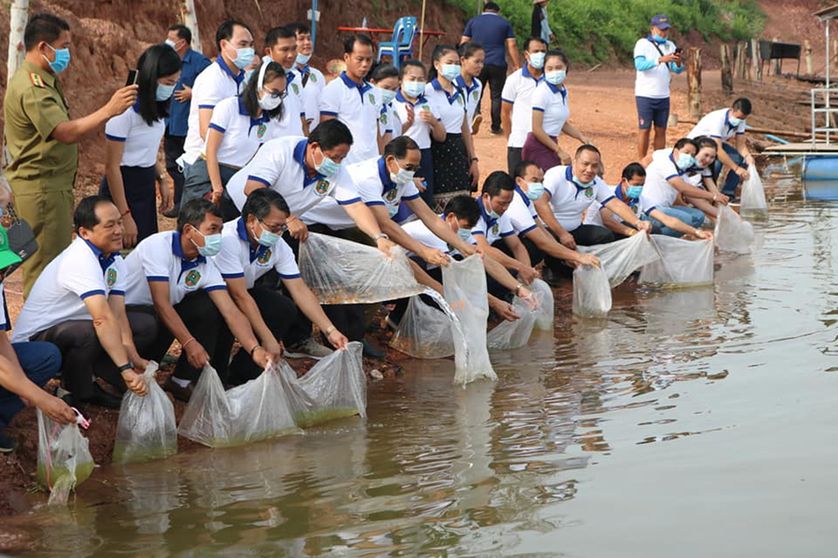 ກົມຕຳຫຼວດສິ່ງແວດລ້ອມ ປ່ອຍປາຈຳນວນ 5 ພັນໂຕເພຶ່ອສະຫຼອງວັນສິ່ງແວດລ້ອມໂລກ