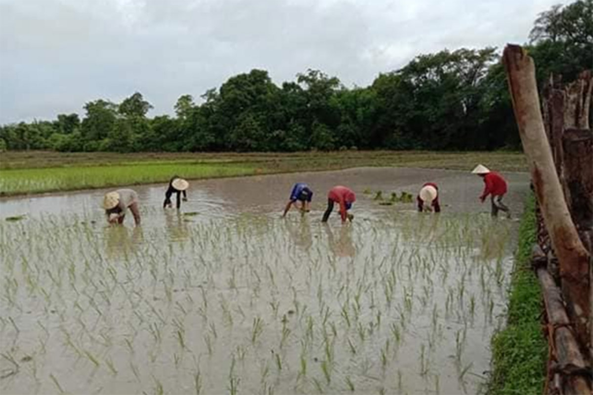 ສສຊ ເນັ້ນໃຫ້ນັກວິຊາການວາງລາຄາໄຟຟ້າ ລົງໄປເບີ່ງຕົວຈິງ