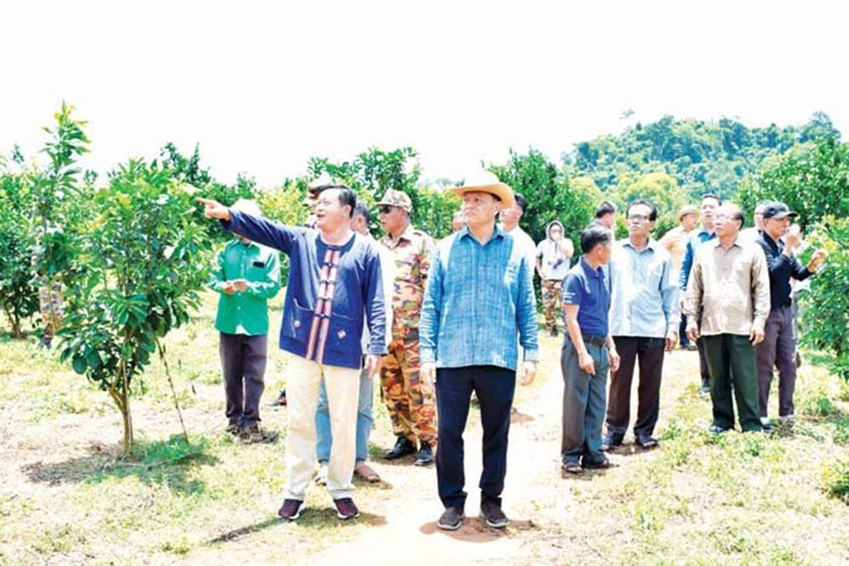 ນັກລົງທຶນອົດສະຕຣາລີ ລົງທຶນປູກໝາກກ້ຽງ ແລະ ໝາກນາວ ຢູ່ ແຂວງສະຫວັນນະເຂດ