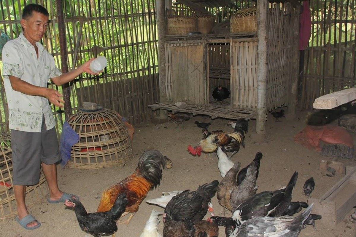 ປະຊາຊົນບ້ານໂສຍພວມພັດທະນາກ້າວຂຶ້ນຕາມທິດສາມສ້າງ