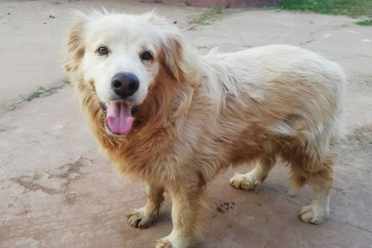 8 ຄົນເສຍຊີວິດຍ້ອນຕິດເຊື້ອພະຍາດວໍ້ ໃນ ປີ 2020