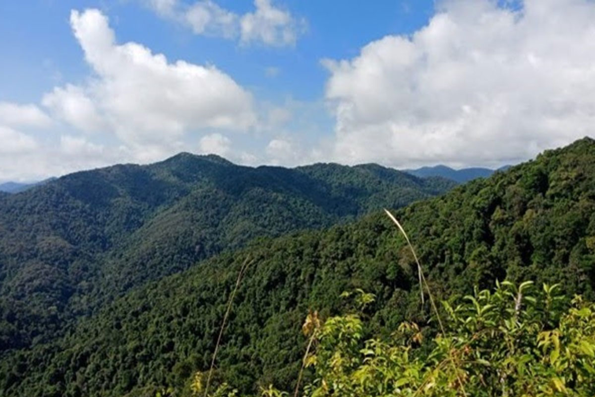 ປ່າສະຫງວນແຫ່ງຊາດ ແມ່ນບ່ອນອະນຸລັກ ແລະ ປົກປັກຮັກສາຖີ່ນຢູ່ອາໄສຂອງສັດປ່າ