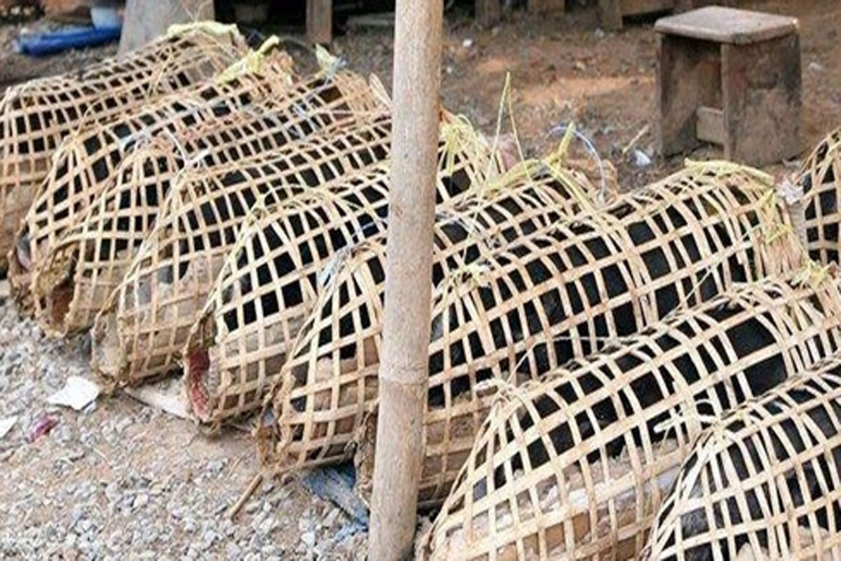 ບໍ່ແກ້ວຫ້າມນໍາເຂົ້າໝູ ແລະ ຜະລິດຕະພັນໝູ ຈາກຕ່າງປະເທດ ຫຼັງພົບການແຜ່ລະບາດຂອງພະຍາດອະຫິວາໝູອາຟຣິກາ