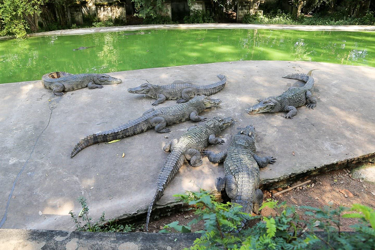 ສວນສັດບ້ານເກີນ ຈະກາຍເປັນສູນອະນຸລັກ ແລະ ເປັນແຫຼ່ງສຶກສາ ຮຽນຮູ້ ກ່ຽວກັບ ສັດປ່າພື້ນເມືອງ