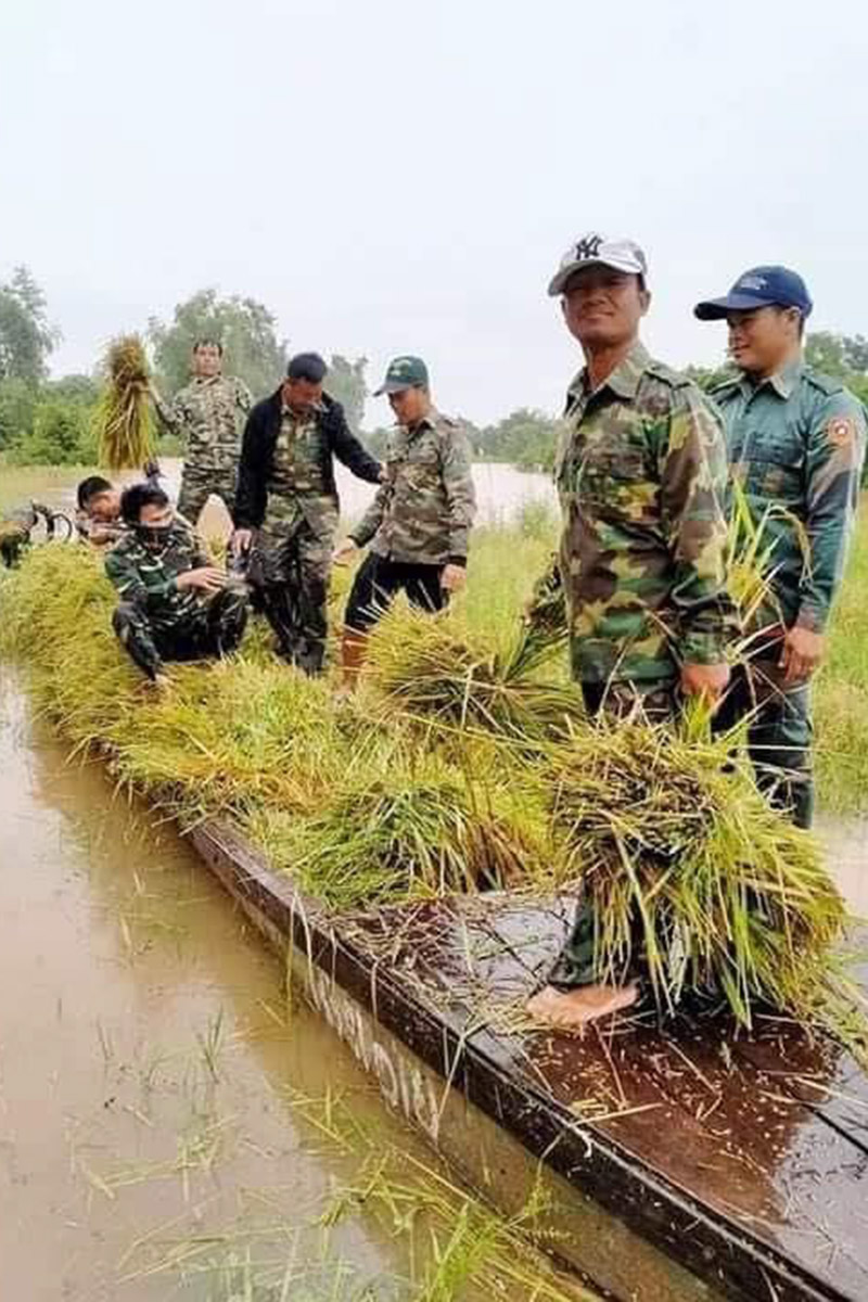 ເນື້ອທີ່ນາ ຫຼາຍກວ່າ 4.000 ເຮັກຕາ ຢູ່ເມືອງຊົນນະບູລີ ຖືກນ້ຳຖ້ວມຍ້ອນພະຍຸໝູນເຂດຮ້ອນ ລິນຟາ