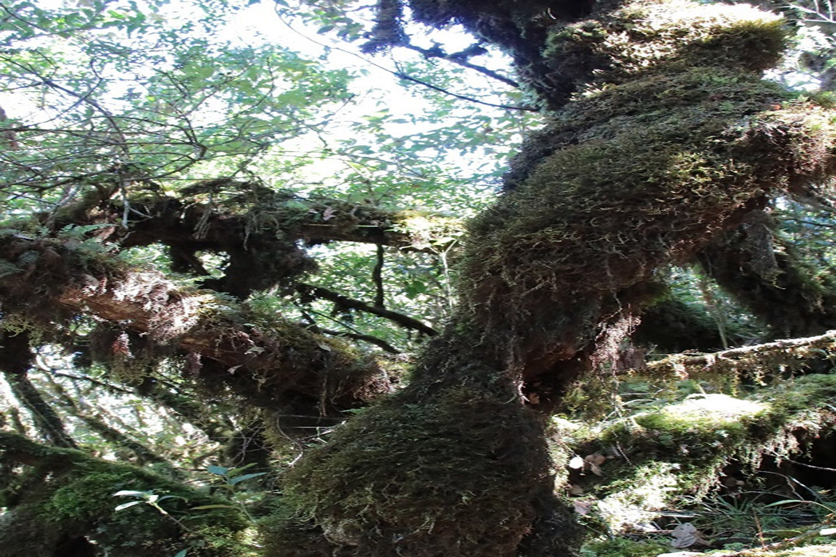 ພະນັກງານນໍາທ່ຽວ ແຂວງໄຊສົມບູນ ຂຶ້ນສຶກສາຂໍ້ມູນສະຖານທີ່ທ່ອງທ່ຽວ ພູເບ້ຍ