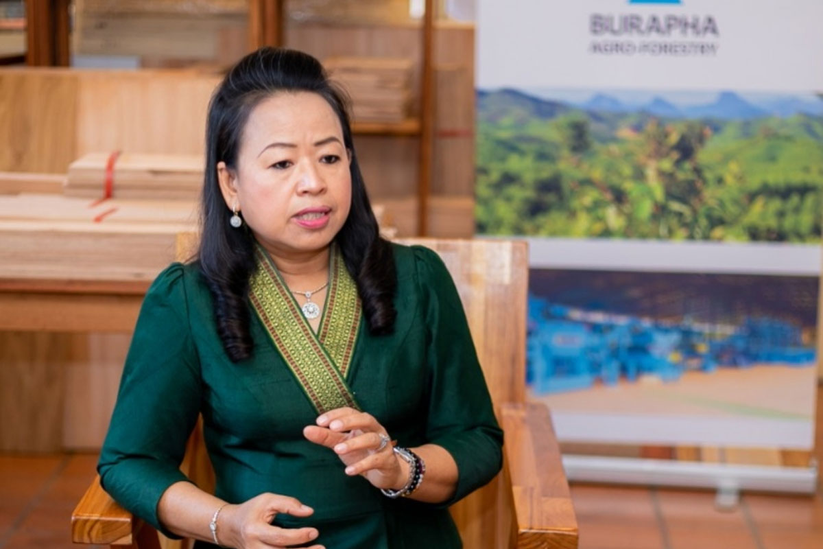 ບໍລິສັດບົວລະພາກຽມຕັດໄມ້ເພື່ອປ້ອນໂຮງງານໄມ້ອັດຫຼັງທີ 2