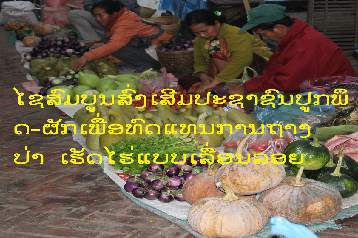 ແຂວງໄຊສົມບູນສົ່ງເສີມປະຊາຊົນປູກພຶດ-ຜັກເພື່ອທົດແທນການ ຖາງປ່າເຮັດໄຮ່ແບບເລື່ອນລອຍ