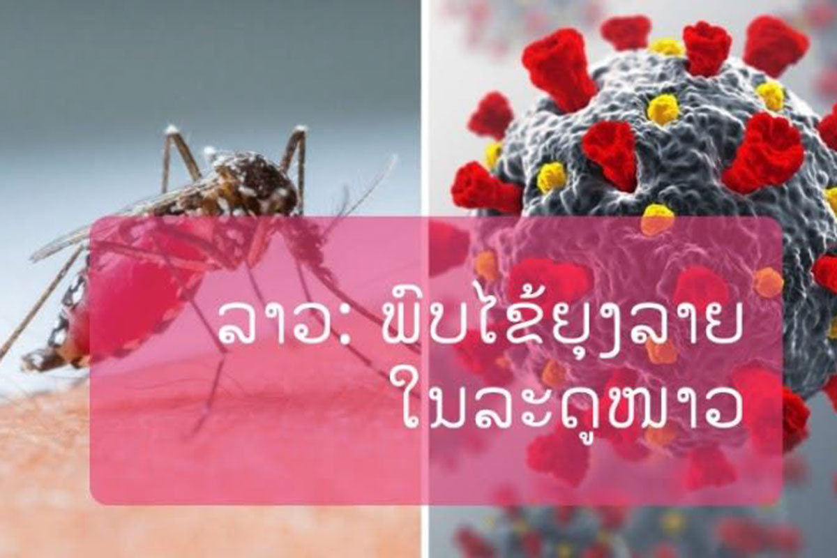 ພົບພະຍາດໄຂ້ຍຸງລາຍຢູ່ລາວແຜ່ເຊື້ອໃນລະດູໜາວ
