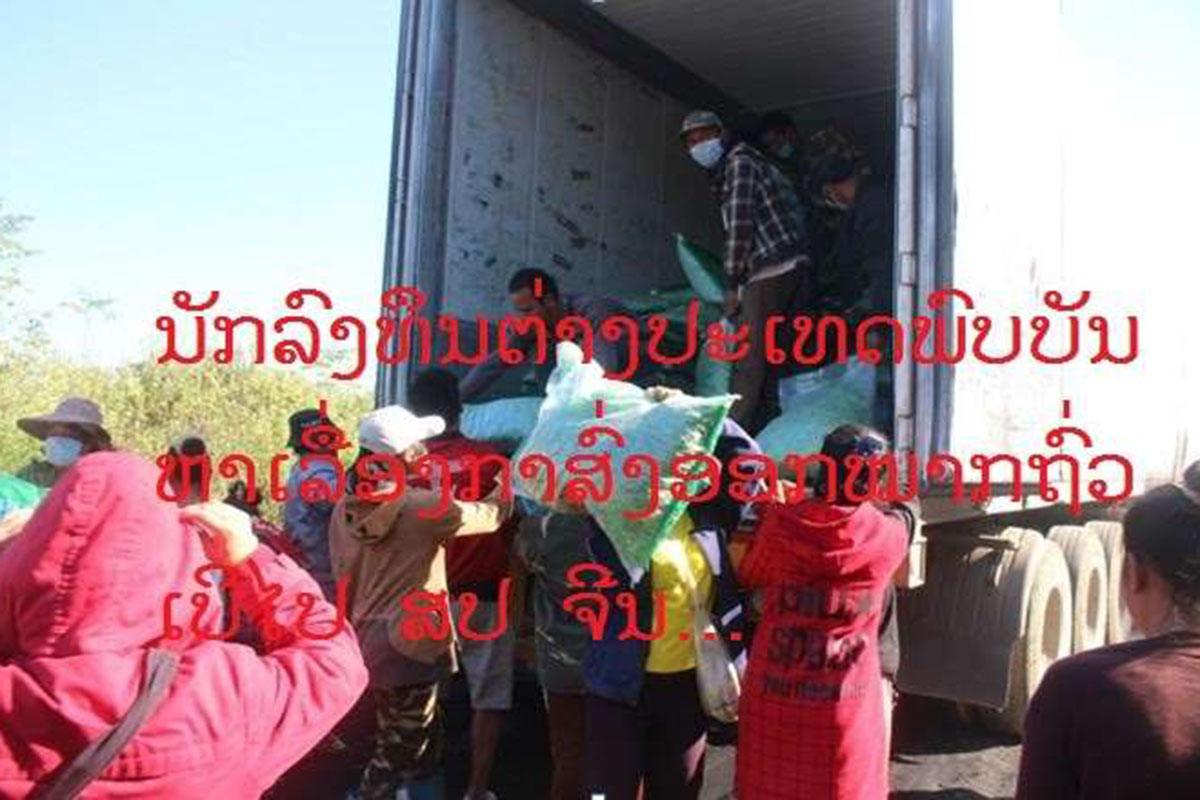 ນັກລົງທຶນຕ່າງປະເທດພົບບັນຫາເລື່ອງການສົ່ງອອກໝາກຖົ່ວເບີ ໄປ ສປ ຈີນ