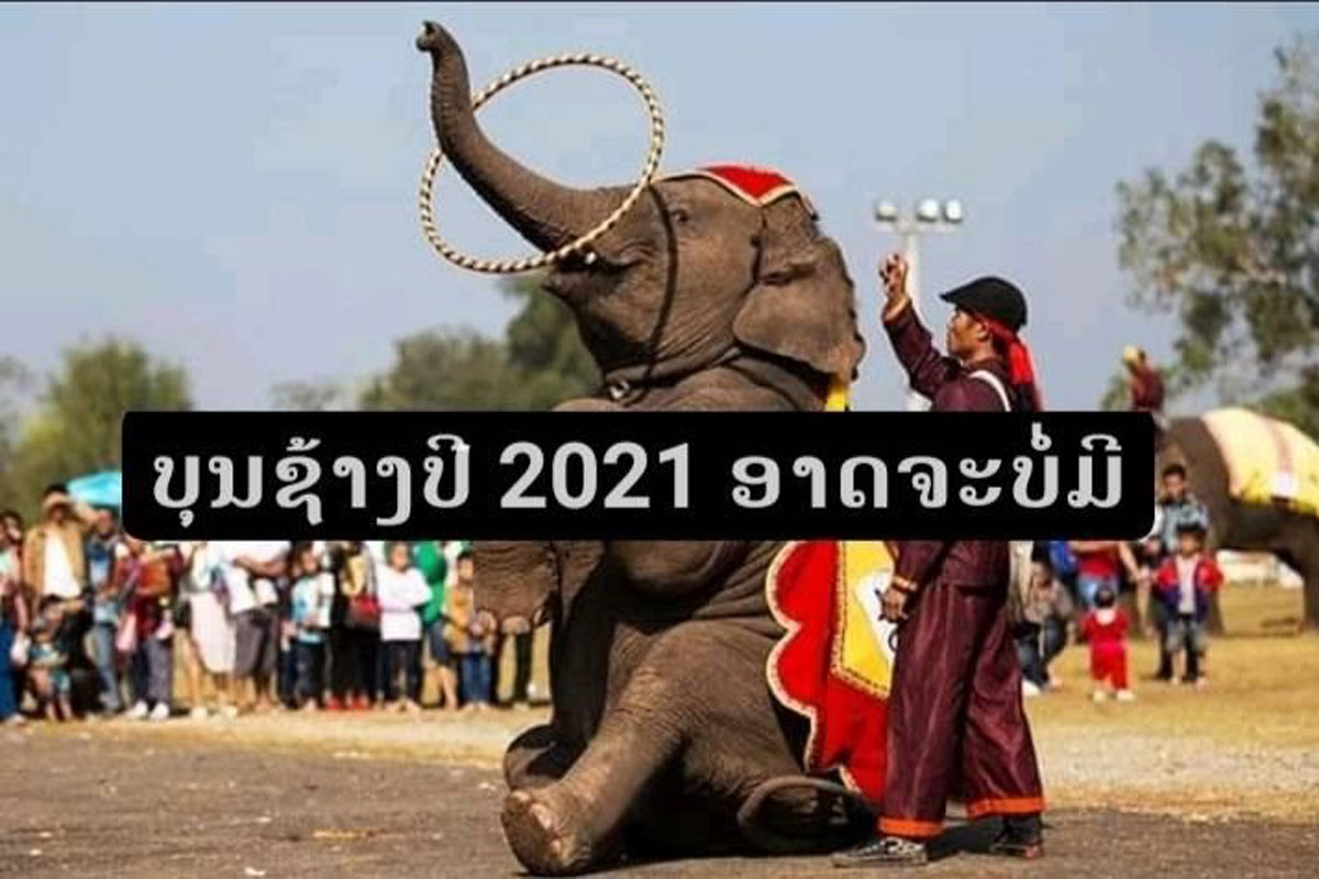 ບຸນຊ້າງປະຈໍາປີ 2021 ຢູ່ແຂວງໄຊຍະບູລີ ອາດຈະບໍ່ມີ