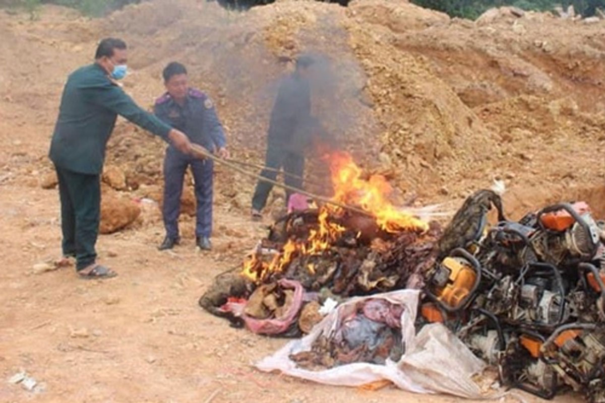 ຫຼວງນໍ້າທາ ຍັງມີການລັກລອບລ່າສັດ ແລະ ລັກຕັດໄມ້ແບບຜິດກົດໝາຍ