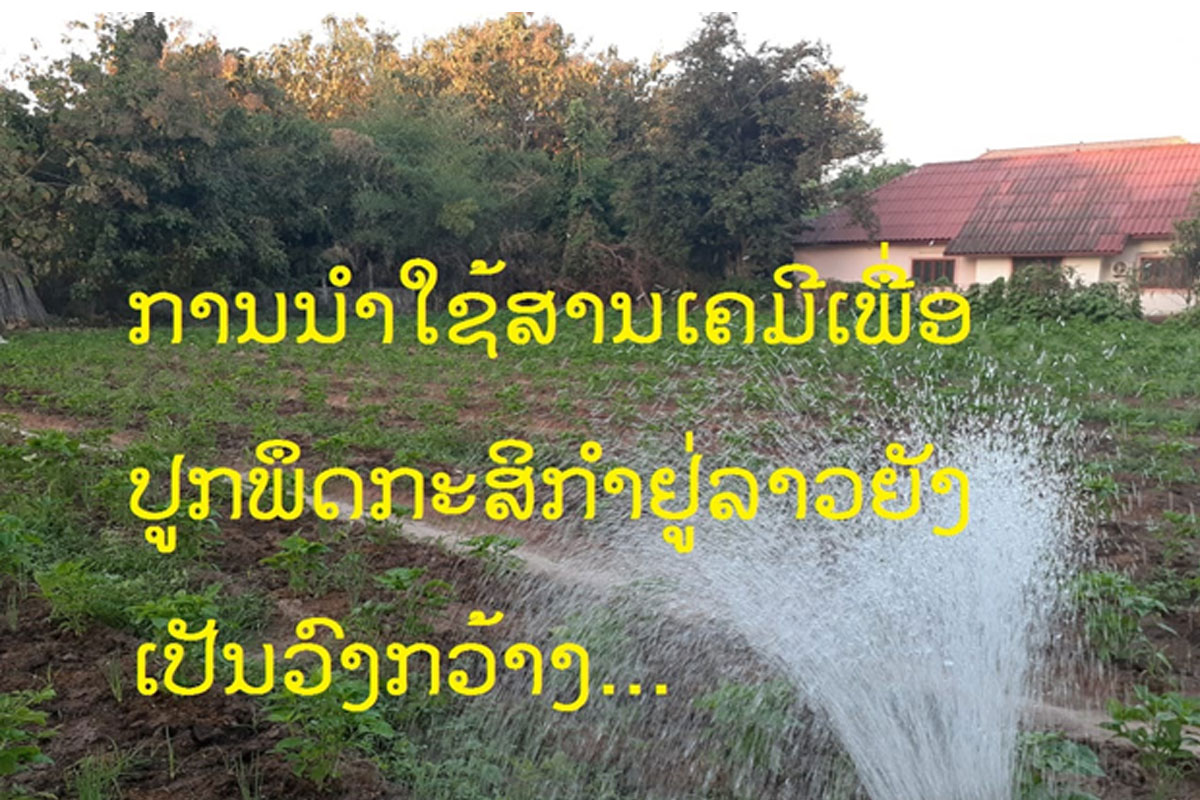 ການປູກພຶດກະສິກໍາຢູ່ລາວຍັງມີການໃຊ້ສານເຄມີຢູ່