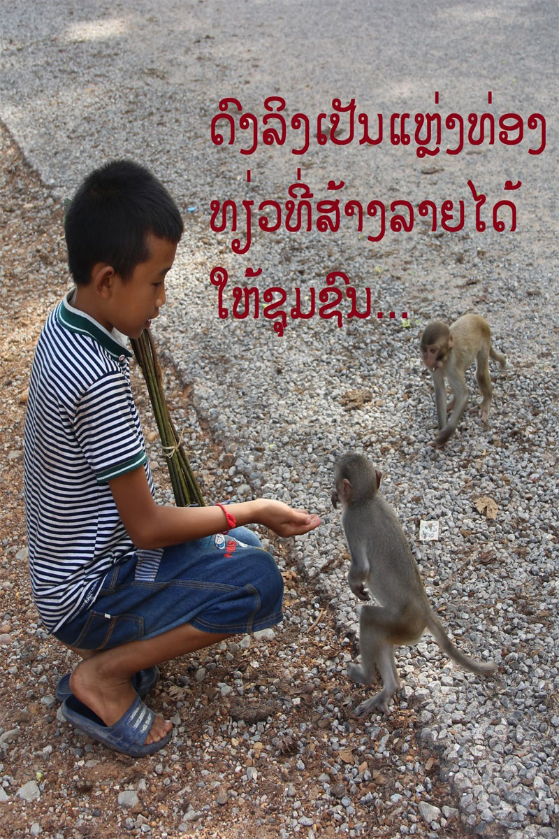 ດົງລີງເປັນແຫຼ່ງທ່ອງທຽ່ວທີ່ສ້າງລາຍໄດ້ໃຫ້ຊຸມຊົນ ແລະ ເປັນທີ່ສົນໃຈຂອງນັກທອ່ງທຽ່ວ