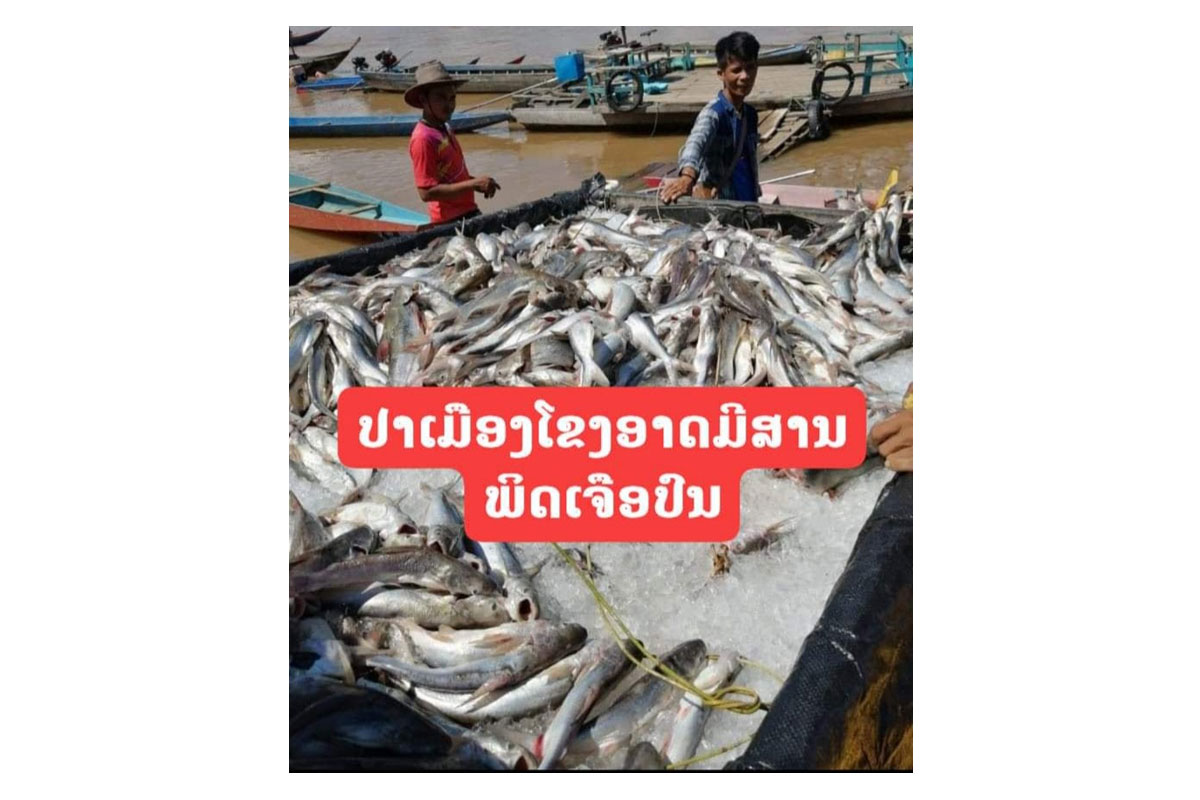 ພົບການໃຊ້ສານເຄມີ ຫຼື ສານພິດເພື່ອຫາປາຢູ່ເມືອງໂຂງ