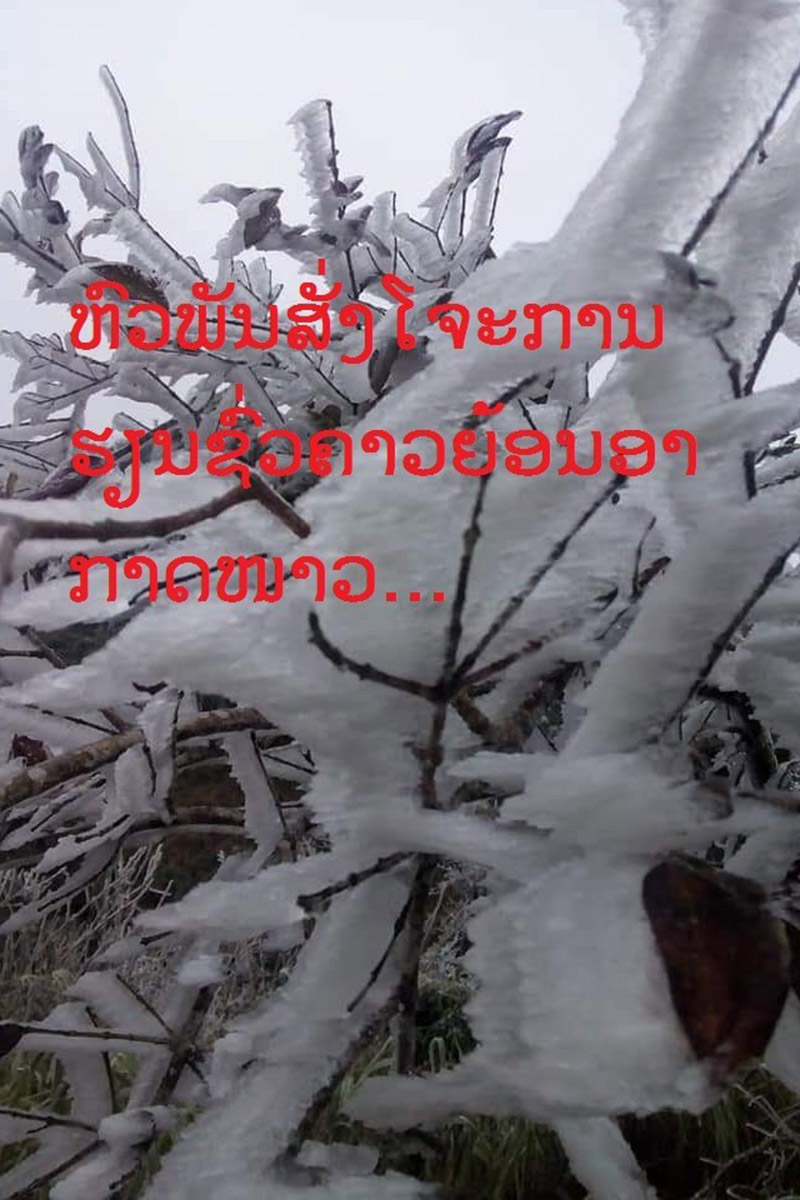 ຍ້ອນອາກາດໜາວ: ຫົວພັນສັ່ງໂຈະການຮຽນຊົ່ວຄາວສໍາລັບໂຮງຮຽນ ລ້ຽງເດັກ ແລະ ອະນຸບານ