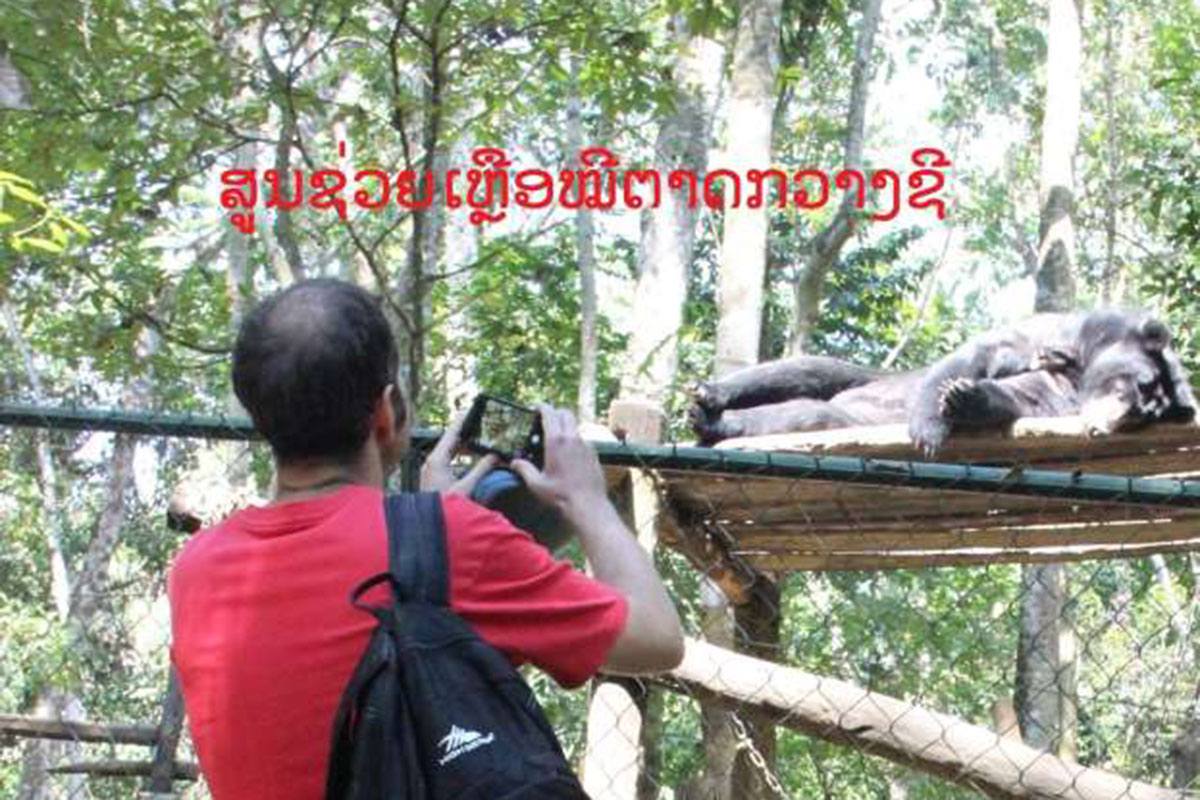 ສູນຊ່ວຍເຫຼືອໝີຕາດກວາງຊີ ແລະ ສູນຮັກສາພັນສັດປ່າ ບ້ານໜອງໂຕກເນັ້ນໃສ່ການ ດູແລໝີ ແລະ ຄຸ້ມຄອງສັດປ່າໃຫ້ຍືນຍົງ