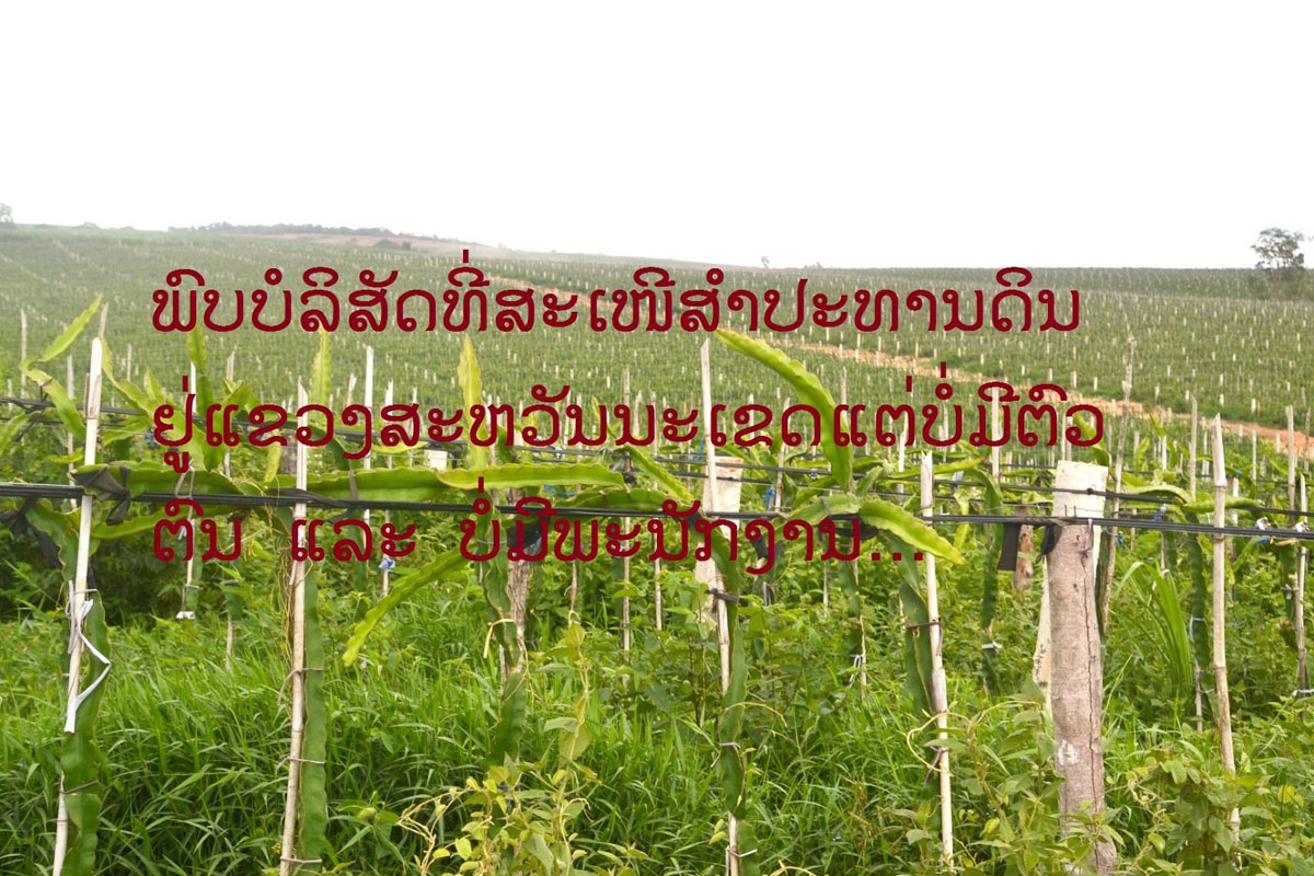 ສະຫວັນນະເຂດກຽມແກ້ໄຂບັນຫາການສໍາປະທານດິນເຮັດກະສິກໍາ ແລະ ປ່າໄມ້ພາຍໃນແຂວງ