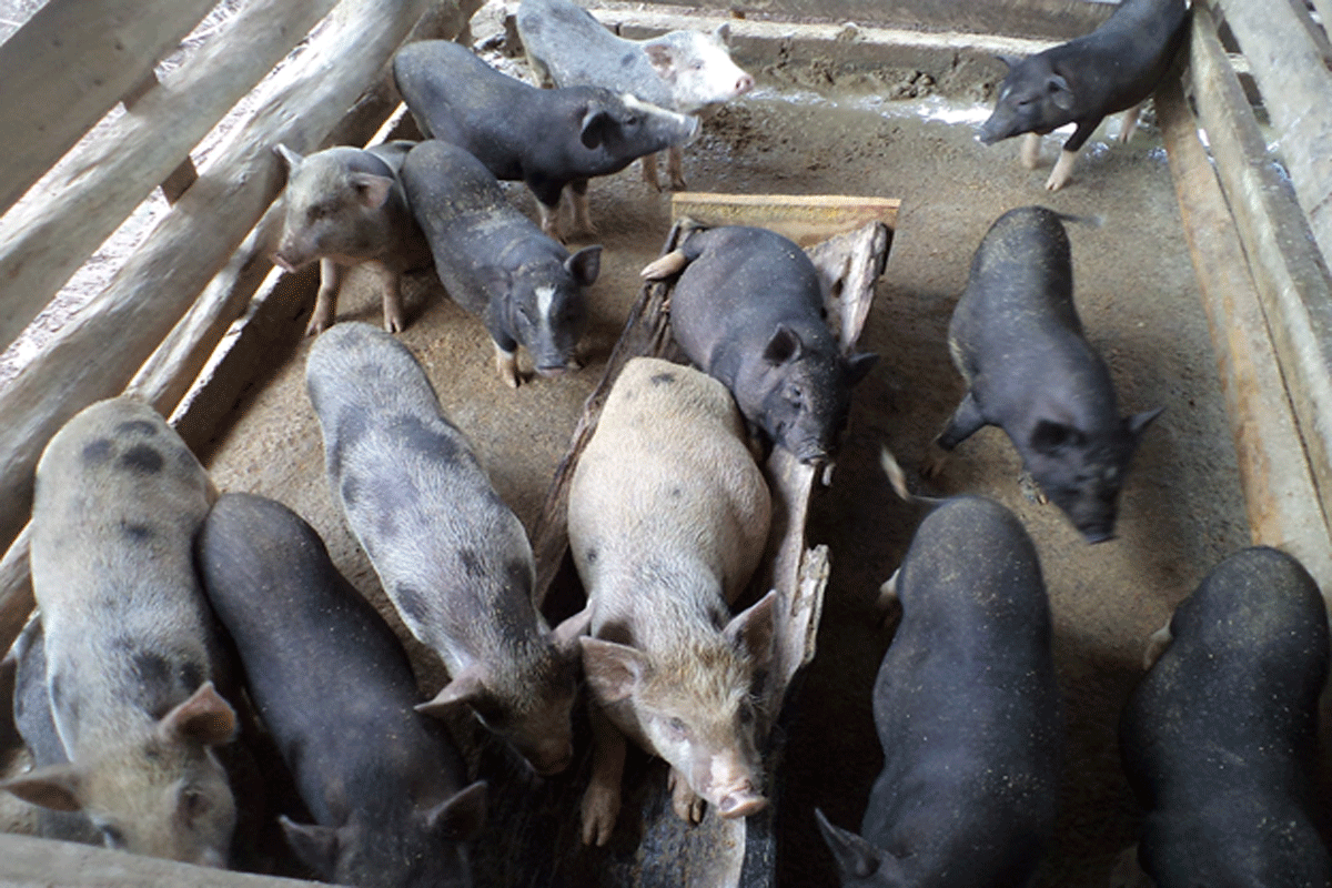 ກອງທຶນບ້ານອອມ ເມືອງອານຸວົງເປີດໃຫ້ບໍລິການແລ້ວ