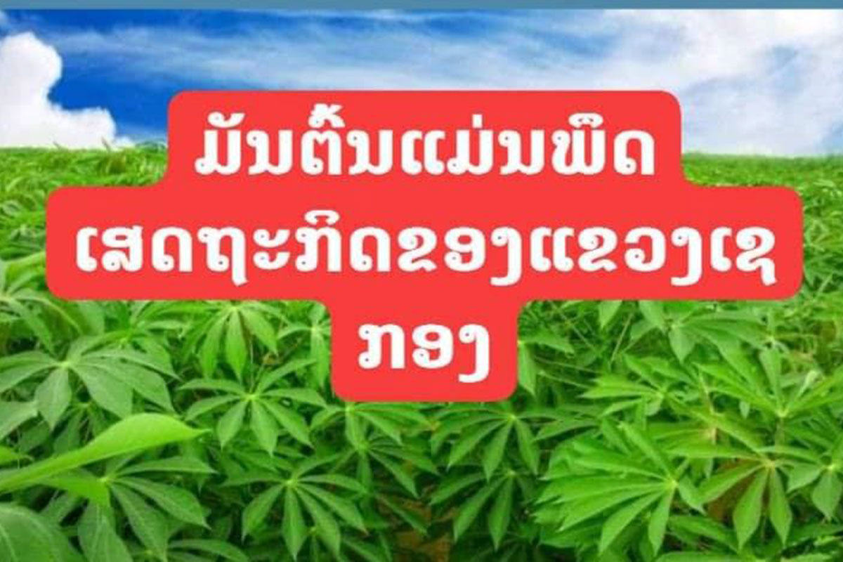 ເຊກອງກຽມພັດທະນາໂຮງງານປຸງແຕ່ງພຶດກະສິກໍາຮັບໃຊ້ 4 ແຂວງພາກໃຕ້