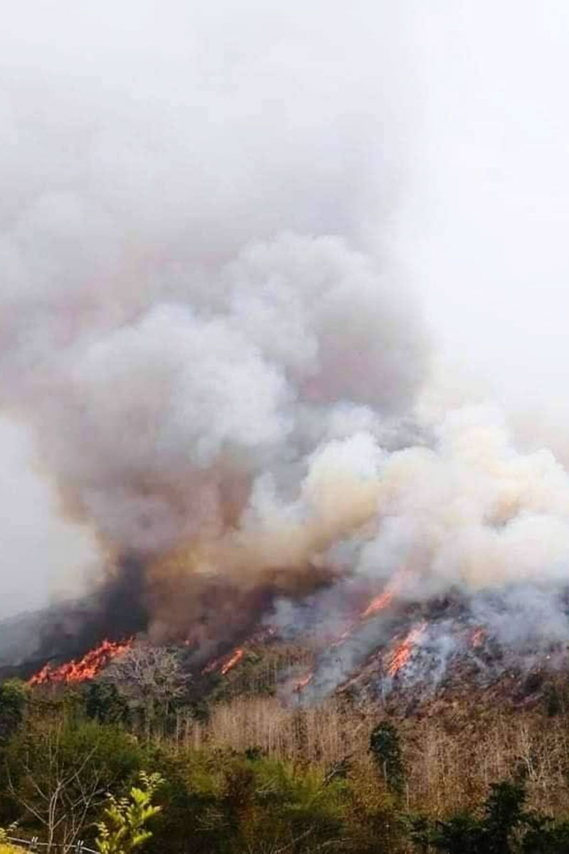 ໄຟໄໝ້ລາມປ່າສ່ວນຫຼາຍແມ່ນເກີດຢູ່ແຂວງອຸດົມໄຊ, ຫຼວງນໍ້າທາ, ບໍ່ແກ້ວ, ຫຼວງພະບາງ ແລະ ແຂວງໄຊຍະບູລີ