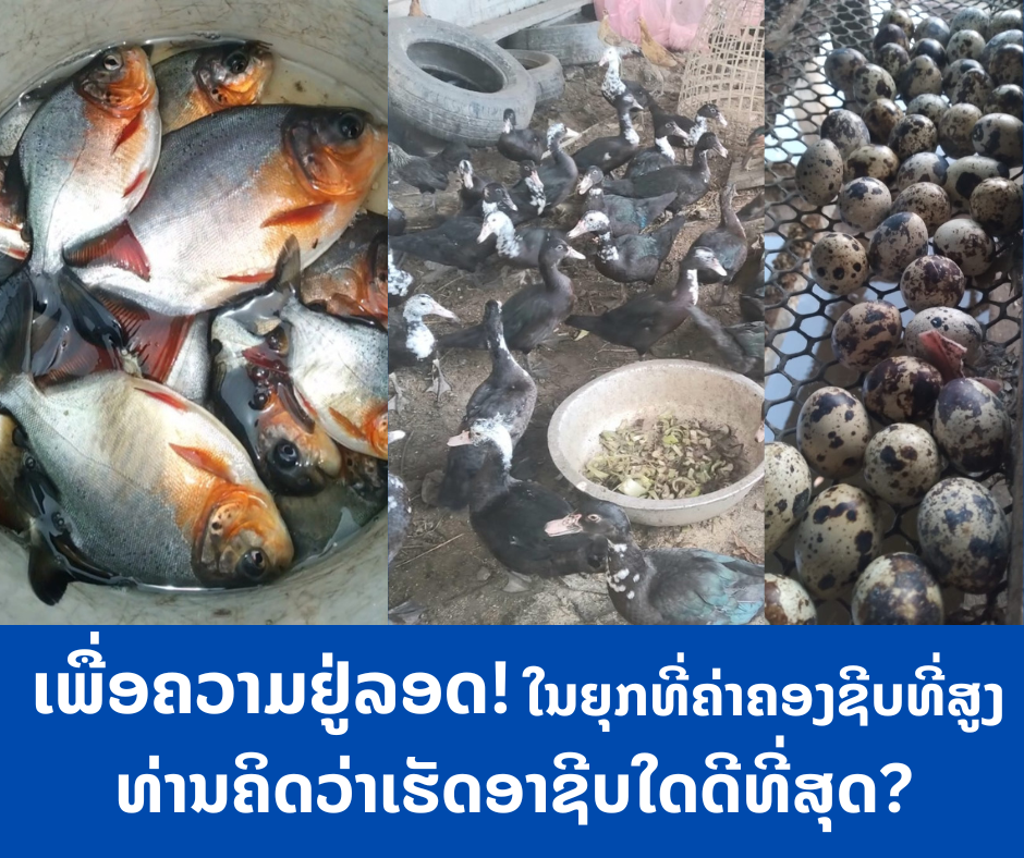 ປະຊາຊົນລາວກໍາລັງປະເຊີນກັບຄ່າຄອງຊີບທີ່ສູງ ເຫດເກີດຈາກໄພເງິນເຟີ້