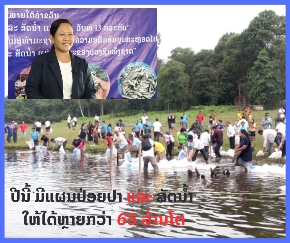 ປີນີ້ ມີແຜນປ່ອຍປາ ແລະ ສັດນໍ້າ ໃຫ້ໄດ້ຫຼາຍກວ່າ 65 ລ້ານໂຕ
