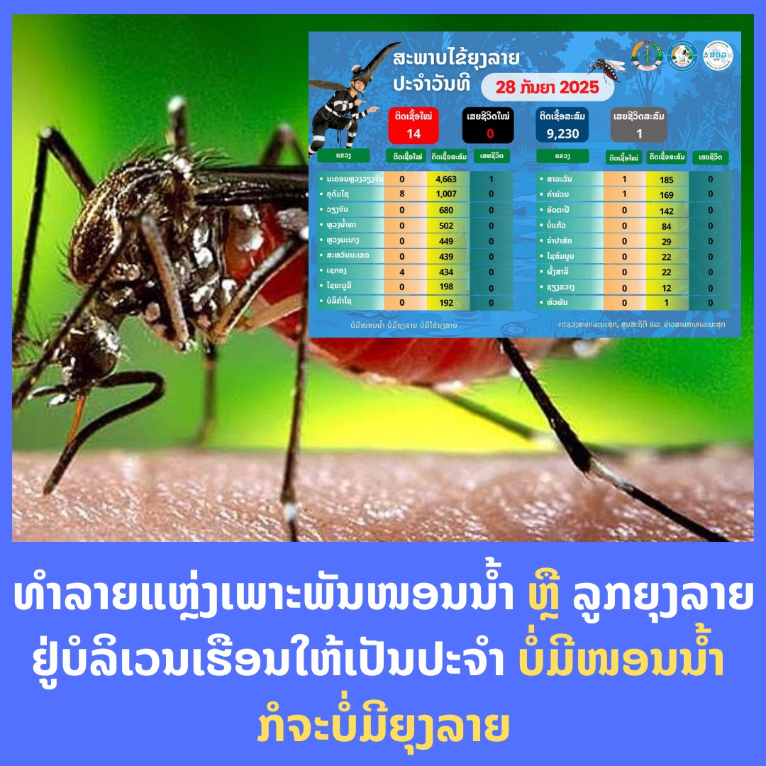 ຜູ້ປ່ວຍໄຂ້ຍຸງລາຍ ຍັງມີທ່າອ່ຽງເພີ່ມຂຶ້ນເລື້ອຍໆ ແຕ່ມີກໍລະນີເສຍຊີວິດ ຍັງຢູ່ 1 ຄົນ