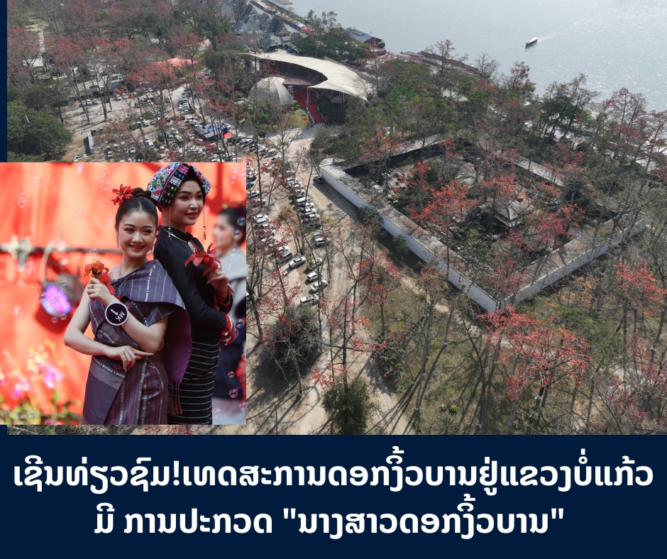 ເຊີນທ່ຽວຊົມ! ເທດສະການ ດອກງິ້ວບານ ຢູ່ແຂວງບໍ່ແກ້ວ