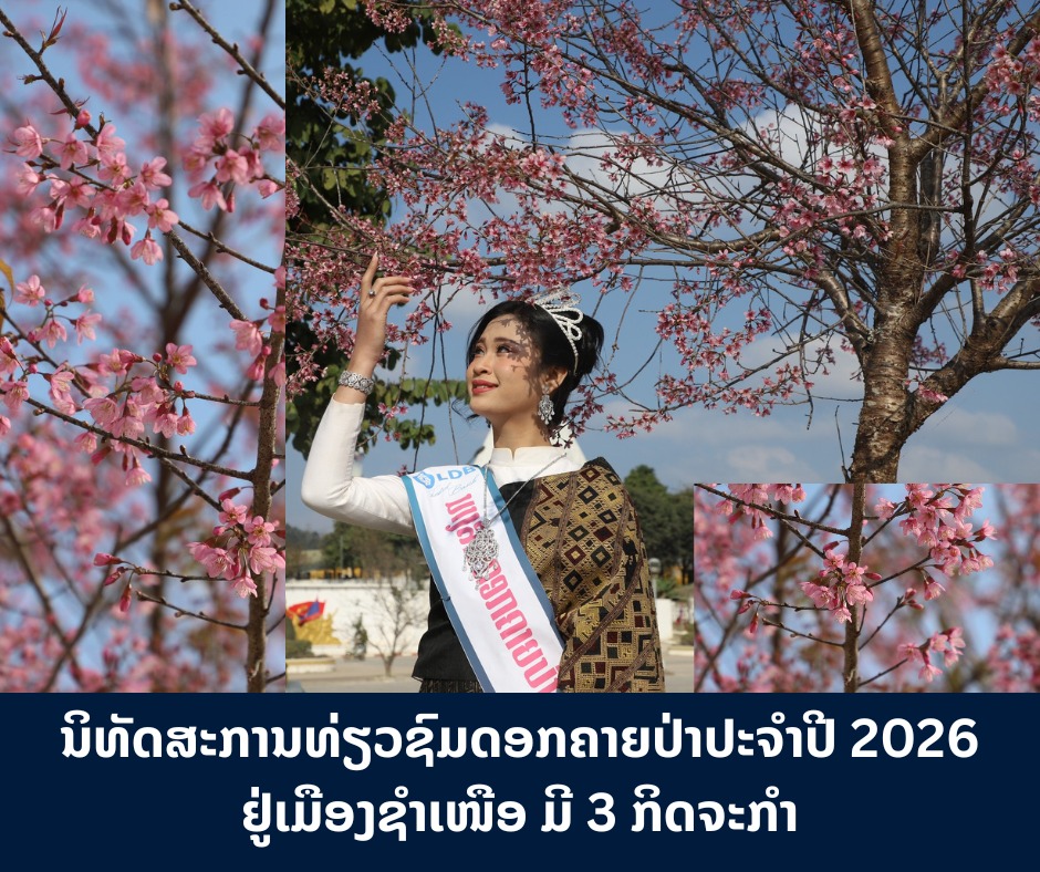 ນິທັດສະການທ່ຽວຊົມດອກຄາຍປ່າປະຈໍາປີ 2026 ຢູ່ເມືອງຊໍາເໜືອ ມີ 3 ກິດຈະກໍາ