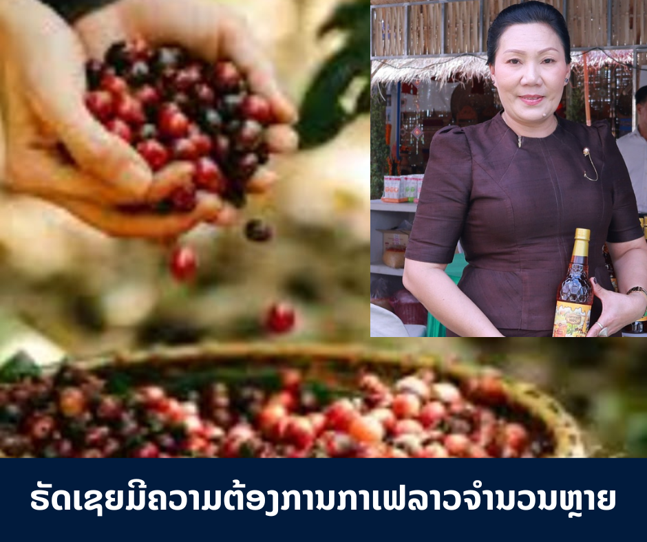 ຣັດເຊຍມີຄວາມຕ້ອງການກາເຟລາວຈາກເຂດພູພຽງບໍລິເວນຈໍານວນຫຼາຍ