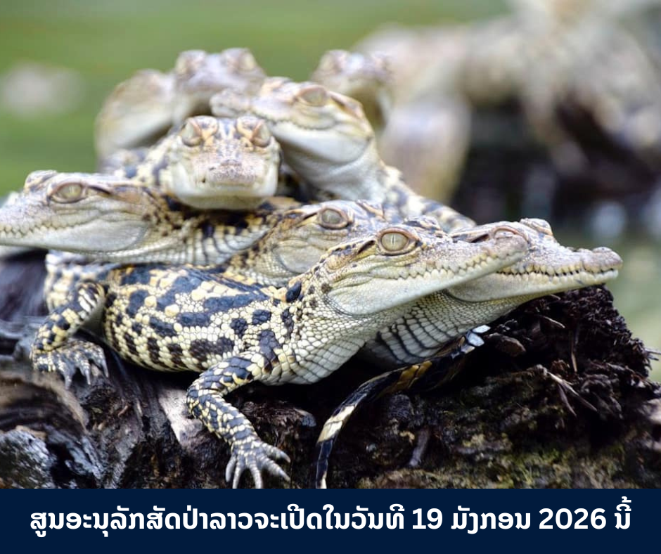 ສູນອະນຸລັກສັດປ່າລາວຈະເປີດອີກຄັ້ງໃນວັນທີ 19 ມັງກອນ 2026 ນີ້