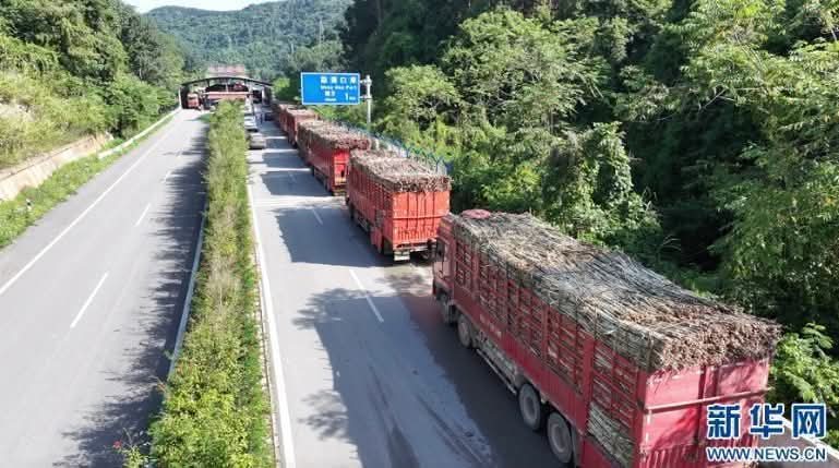 ອ້ອຍລາວຫຼາຍກວ່າ 1,24 ລ້ານໂຕນ ສົ່ງອອກໄປຈີນ