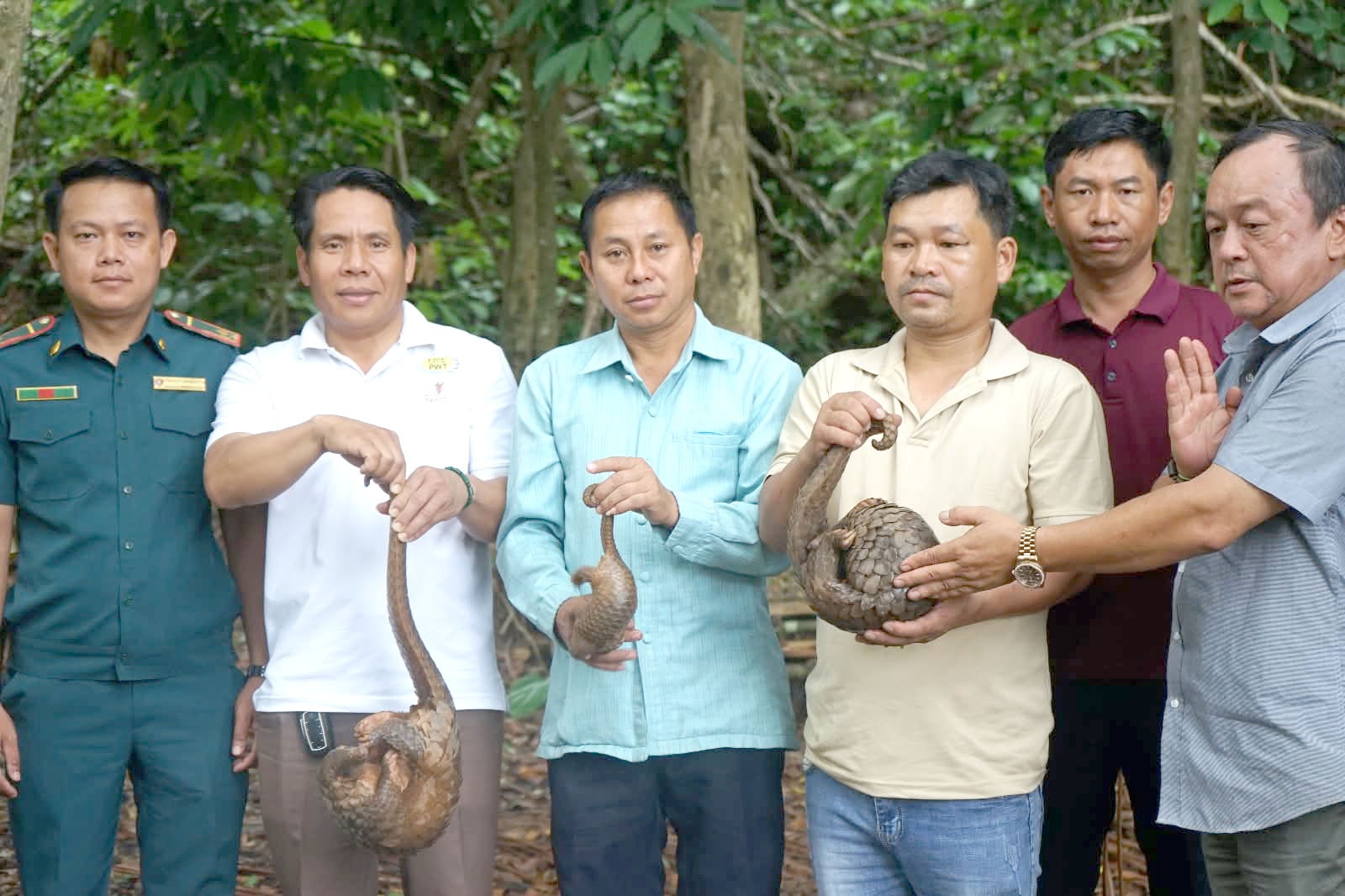 ປ່ອຍສັດປ່າທີ່ຫວງຫ້າມຄືນສູ່ທຳມະຊາດ
